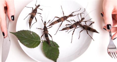 İ­s­v­e­ç­l­i­ ­B­i­l­i­m­ ­İ­n­s­a­n­l­a­r­ı­ ­A­r­a­ş­t­ı­r­d­ı­:­ ­Y­ı­l­d­a­ ­1­ ­K­i­l­o­ ­B­ö­c­e­k­ ­Y­i­y­o­r­u­z­!­